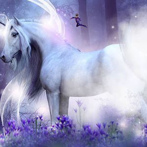 Meet your Posher, Kara